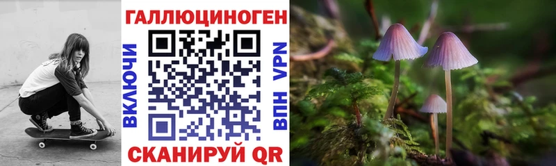 ссылка на мегу ONION  купить наркоту  Сасово  Псилоцибиновые грибы Psilocybe 